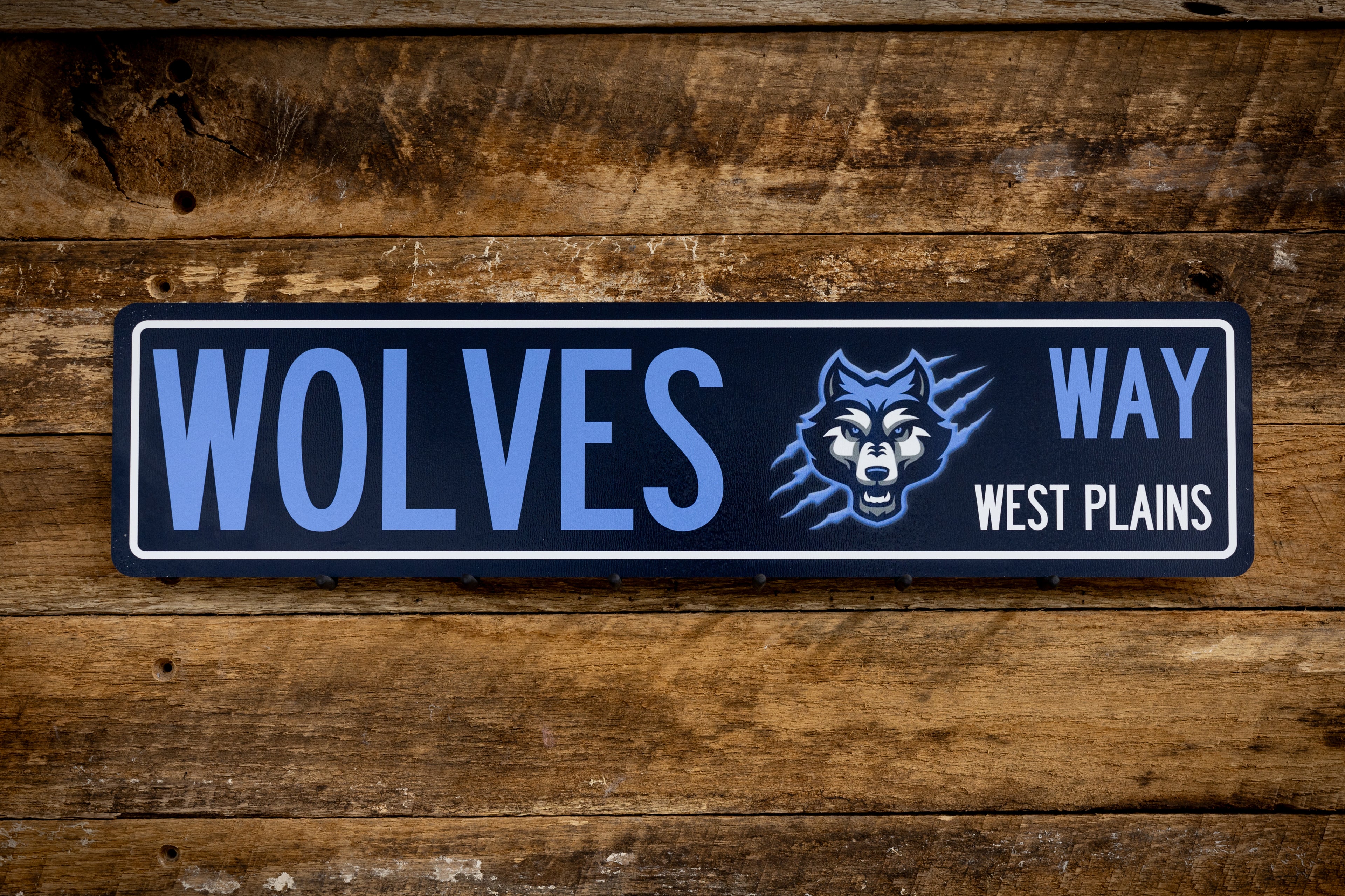 Metal Street Sign - School Spirit